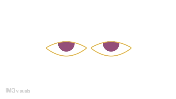 Animated moving eyes indicator. Confused looking. 4K video footage with alpha channel transparency. Website preloader. Download, upload progress. Simple loading icon animation for web UI design