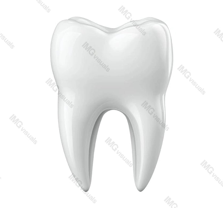 Single tooth molar with glossy surface transparent image, ai generated. Dental structure, oral wellness isolated cutout 3d render. Perfect smile. Dentistry model cut out clipart design element png