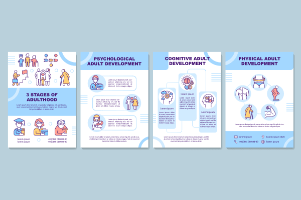 Adulthood Development Brochures Bundle