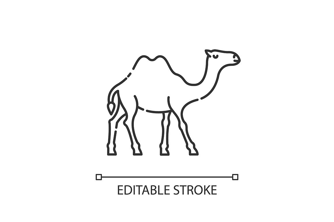 Animals pixel perfect linear icons set