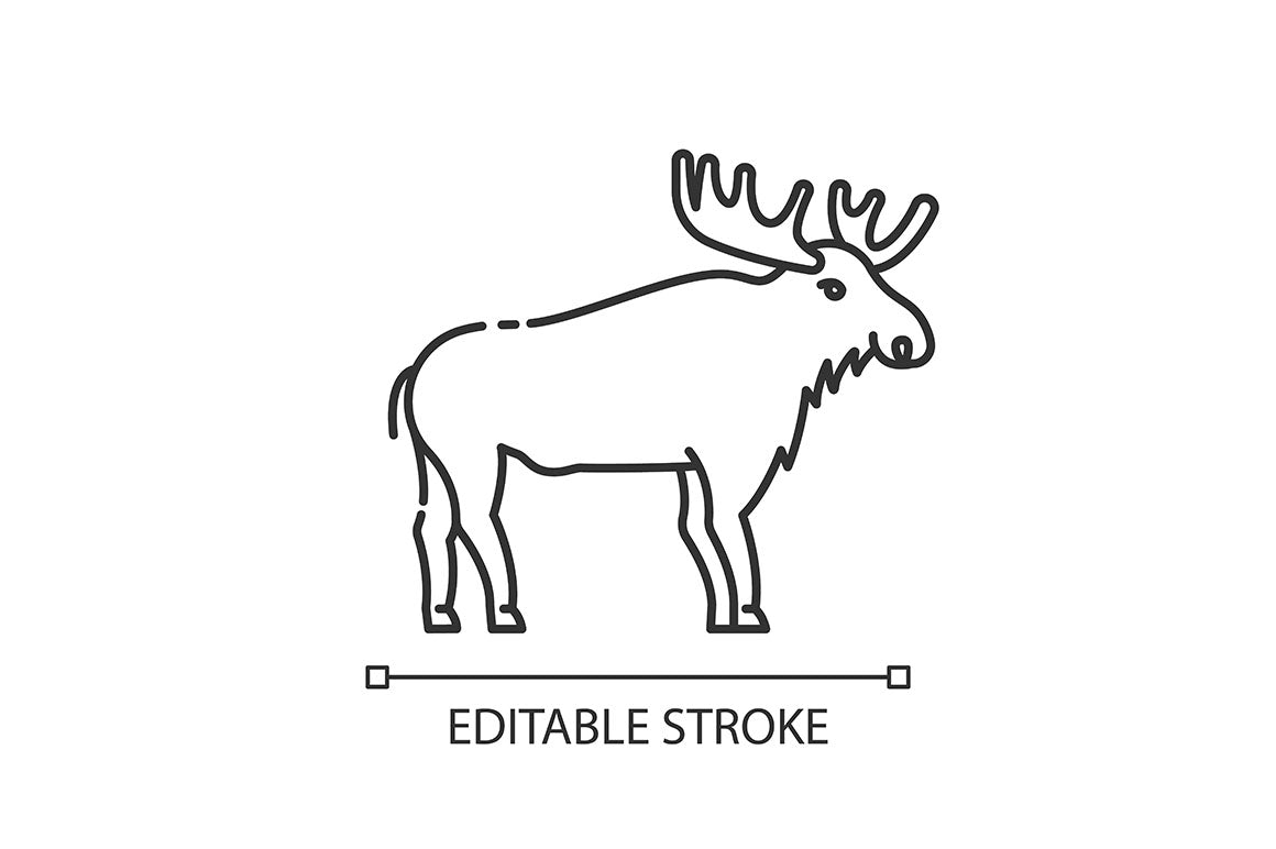 Animals pixel perfect linear icons set