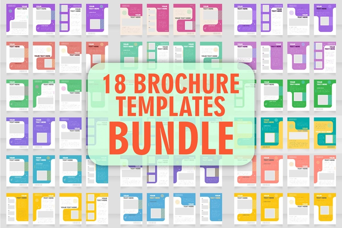 Blank brochure layout design bundle