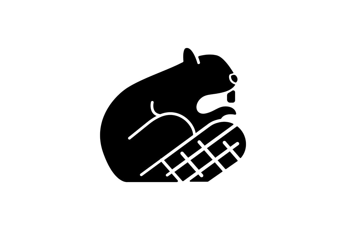 Canadian symbols black glyph icons set on white space