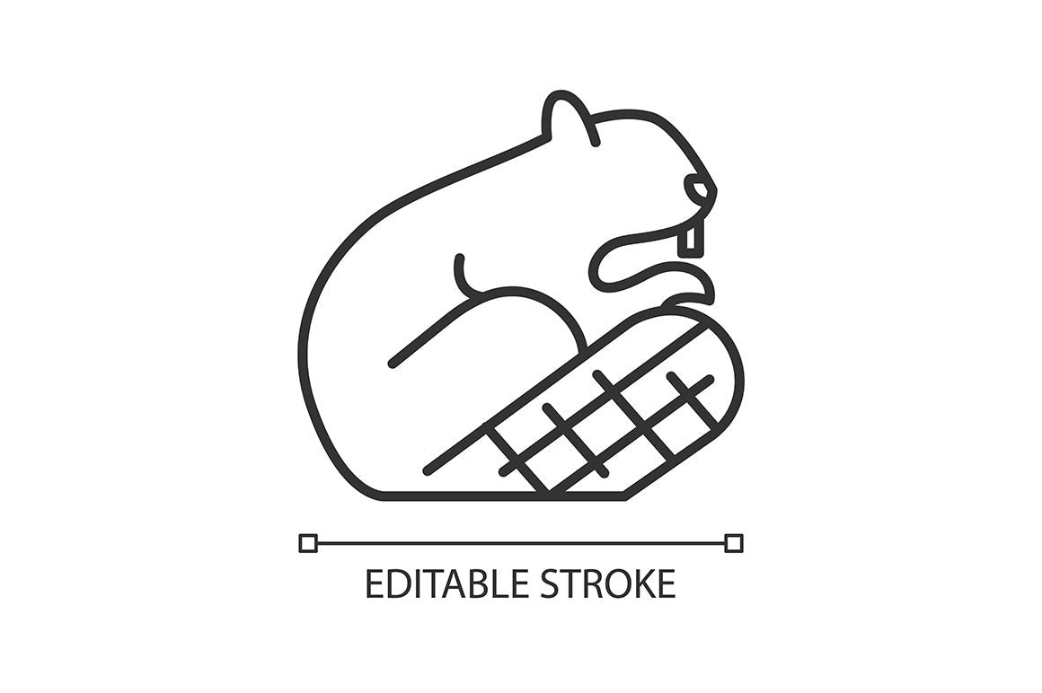 Canadian symbols linear icons set for dark and light modes set