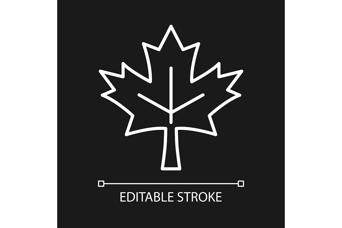 Canadian symbols linear icons set for dark and light modes set