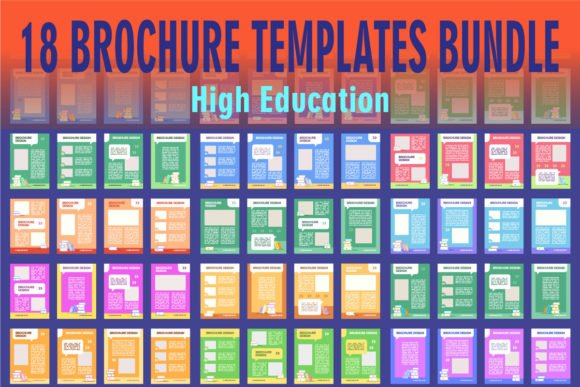 Education blank brochure layout design bundle