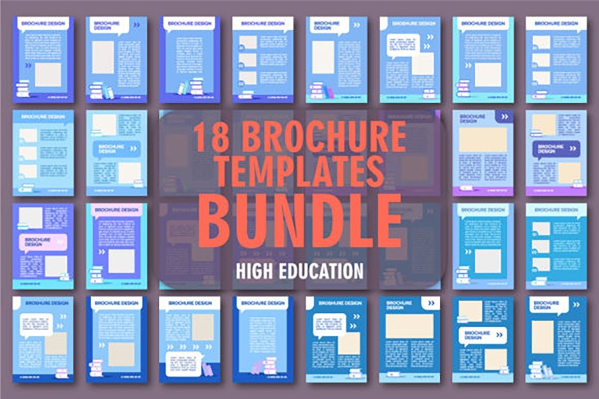 Education blank brochure layout design bundle