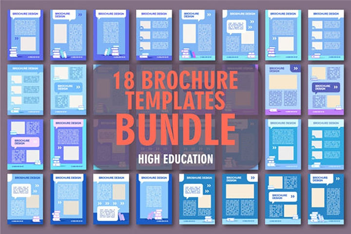Education blank brochure layout design bundle