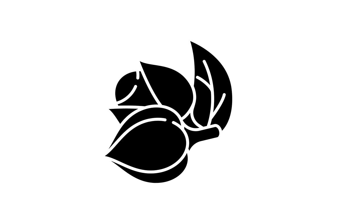 Energy drinks and caffeine black glyph icons set on white space