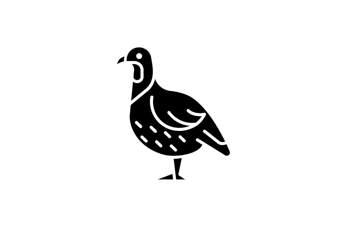 Farm birds for poultry black glyph icons set