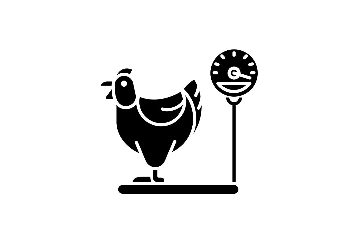 Farm birds for poultry black glyph icons set
