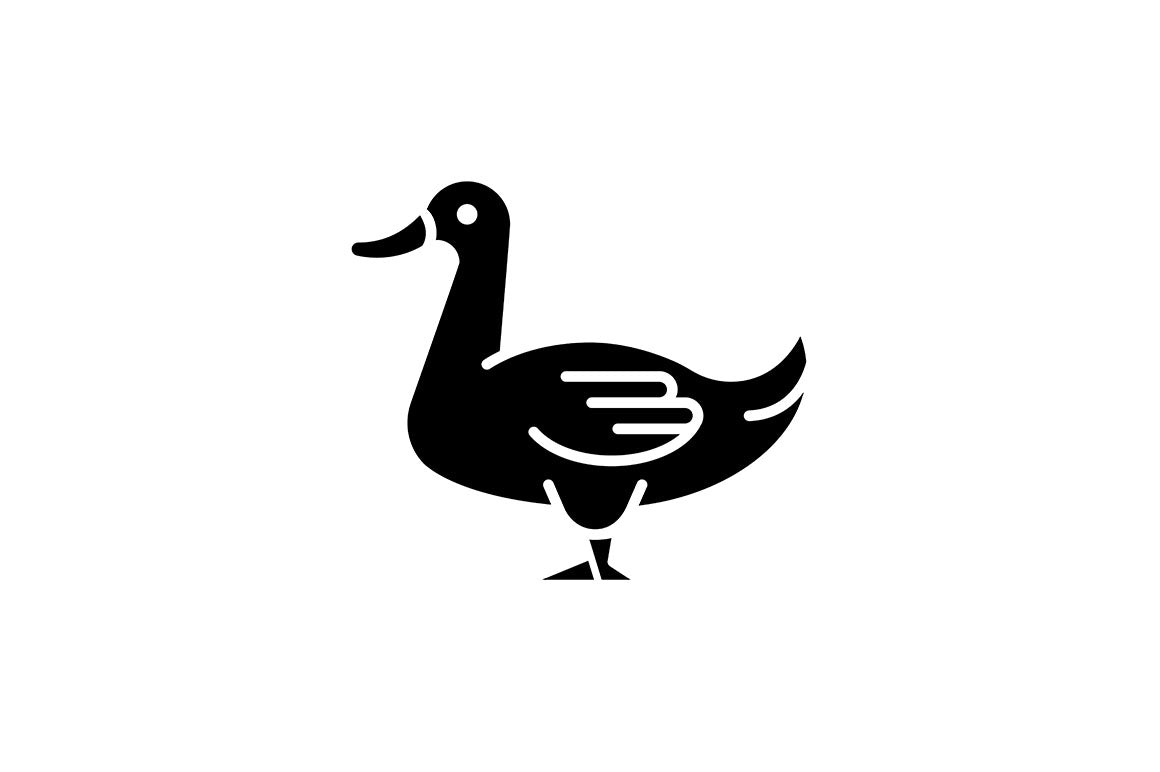 Farm birds for poultry black glyph icons set