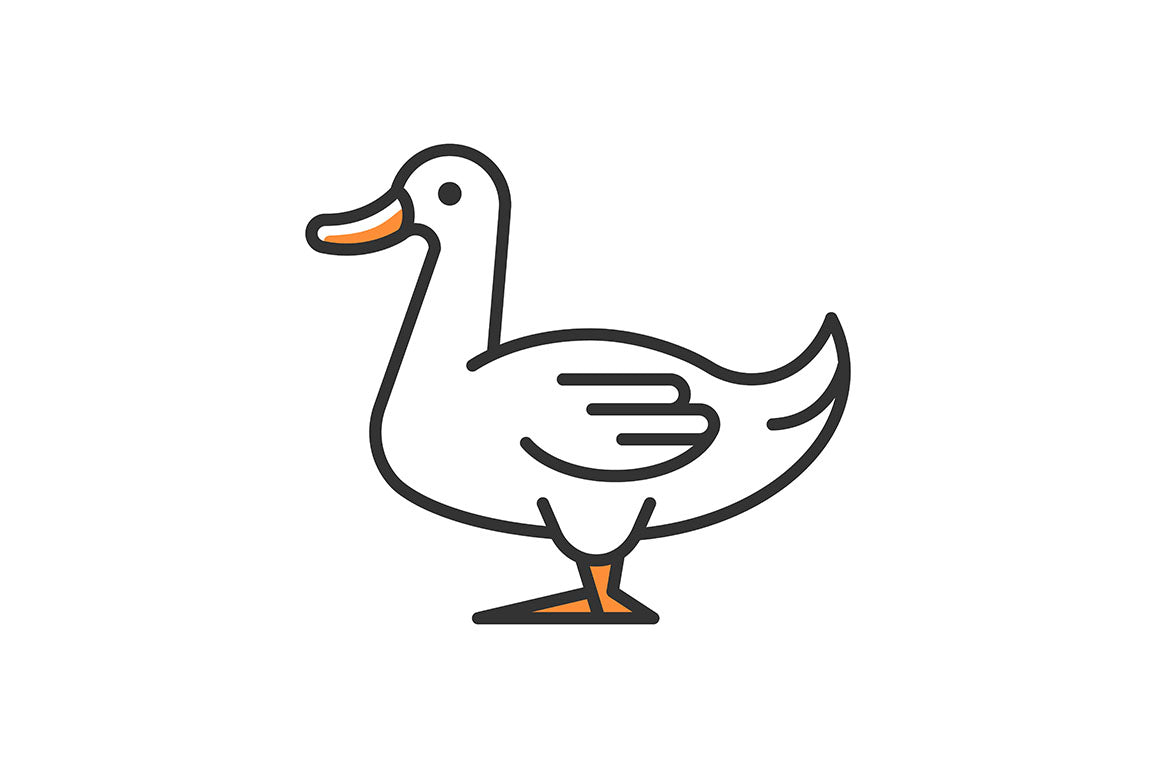 Farm birds for poultry RGB color icons set