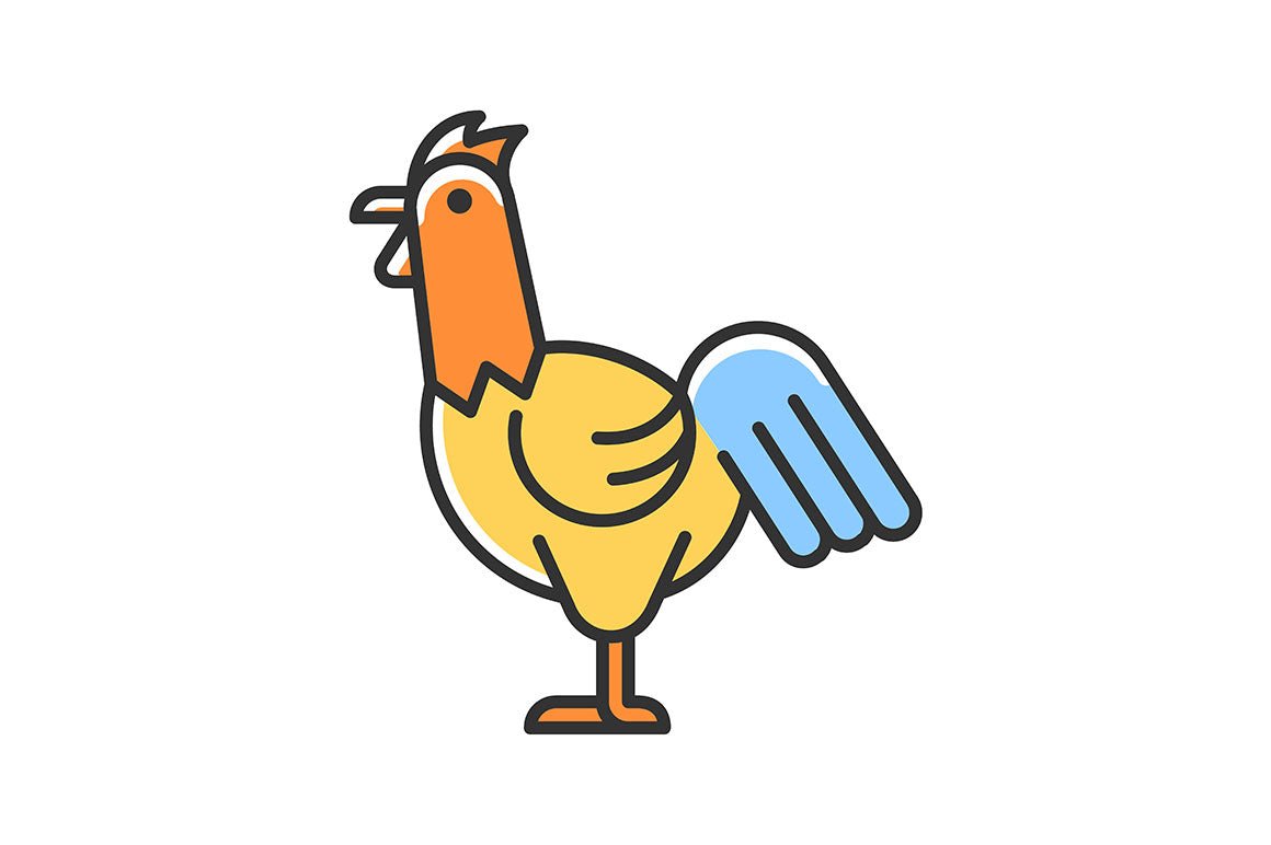 Farm birds for poultry RGB color icons set