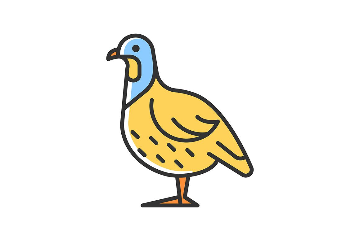 Farm birds for poultry RGB color icons set