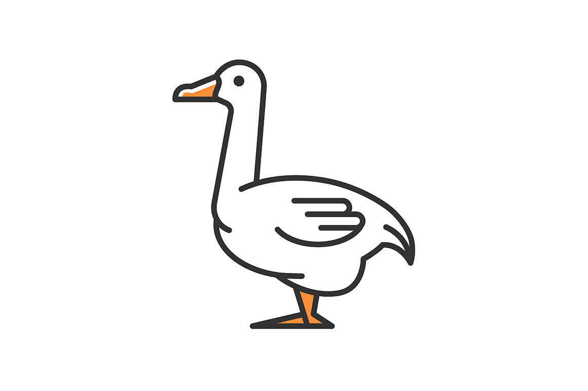Farm birds for poultry RGB color icons set