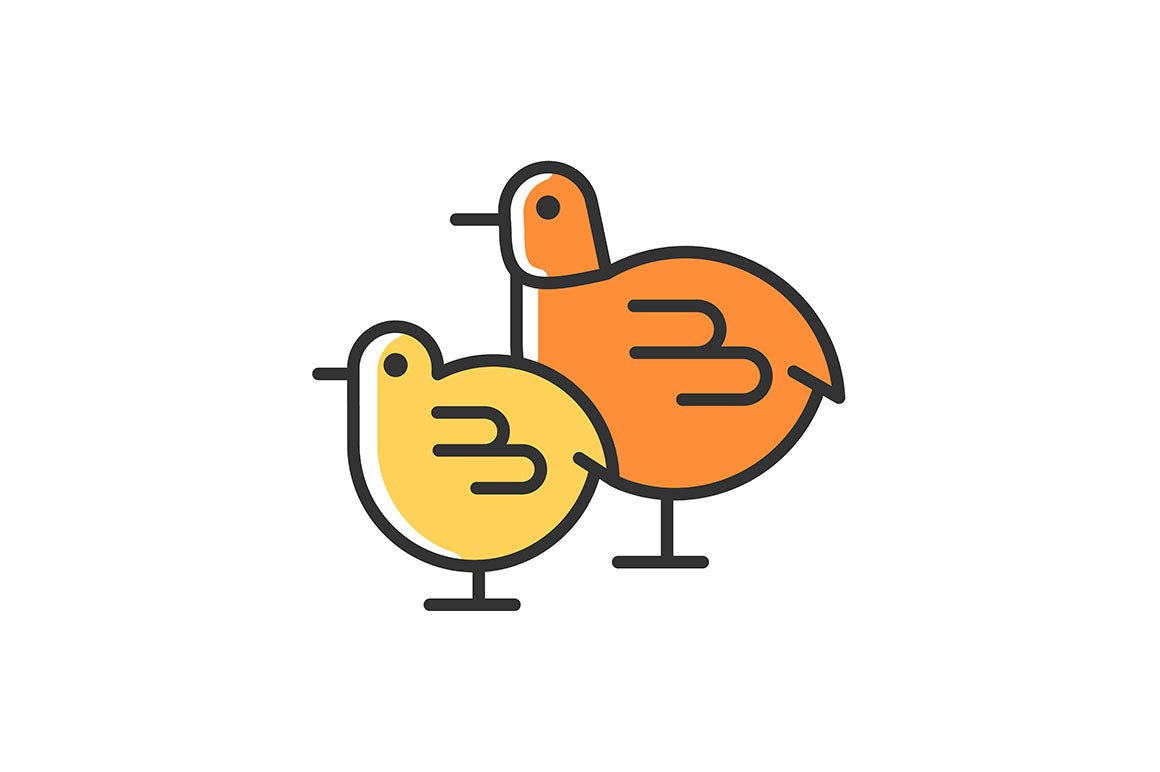Farm birds for poultry RGB color icons set