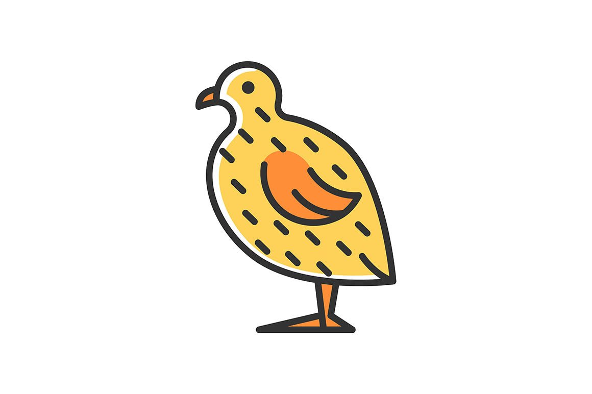 Farm birds for poultry RGB color icons set