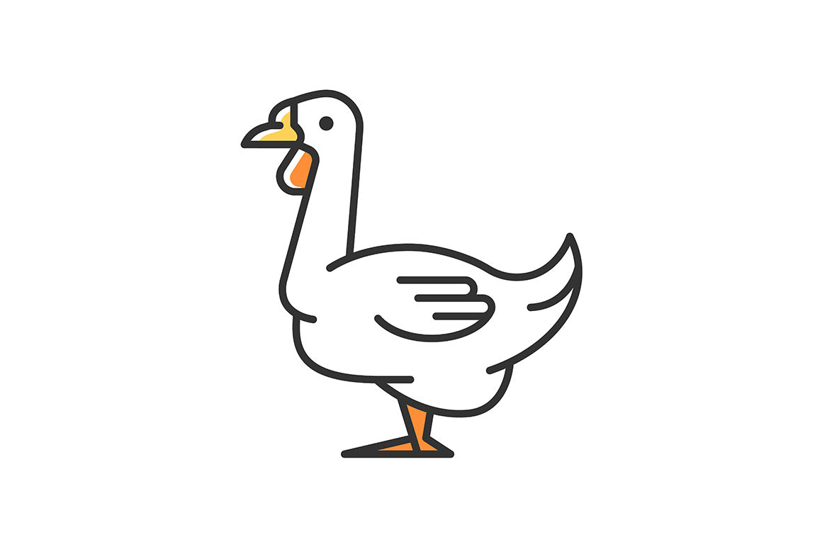 Farm birds for poultry RGB color icons set