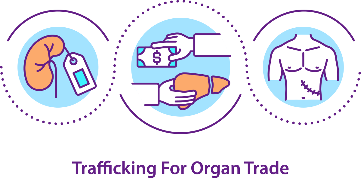 Human Trafficking Awareness Icons Bundle