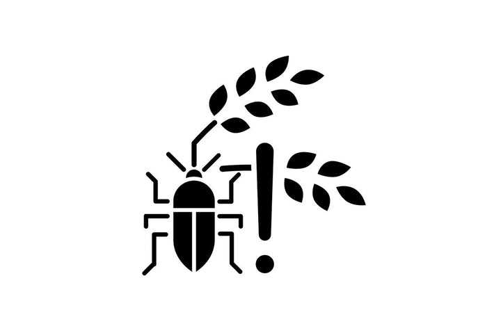 Hunger and food security black glyph icons set on white space