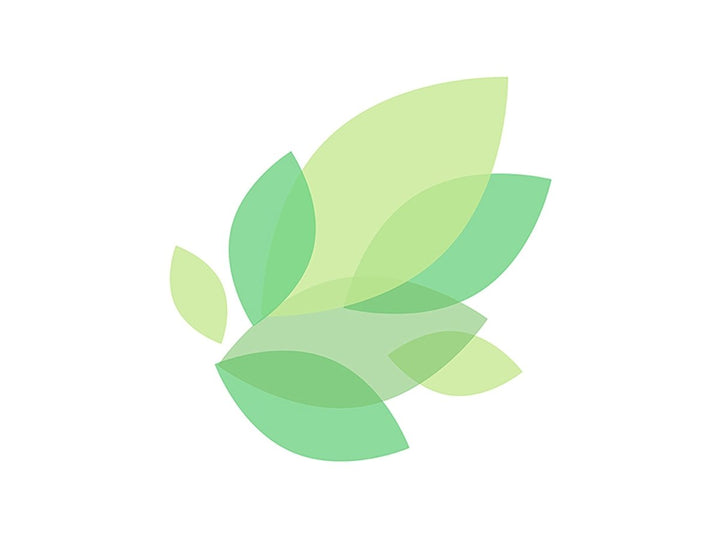 Leaf detail brochure element design set