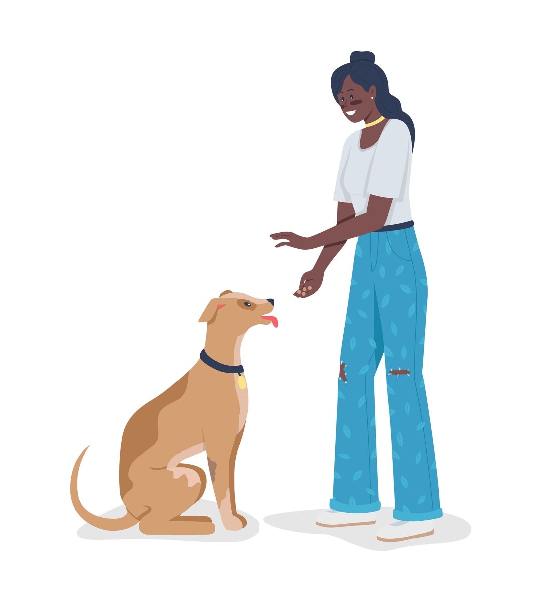 Owners playinh with pets semi flat color vector character set