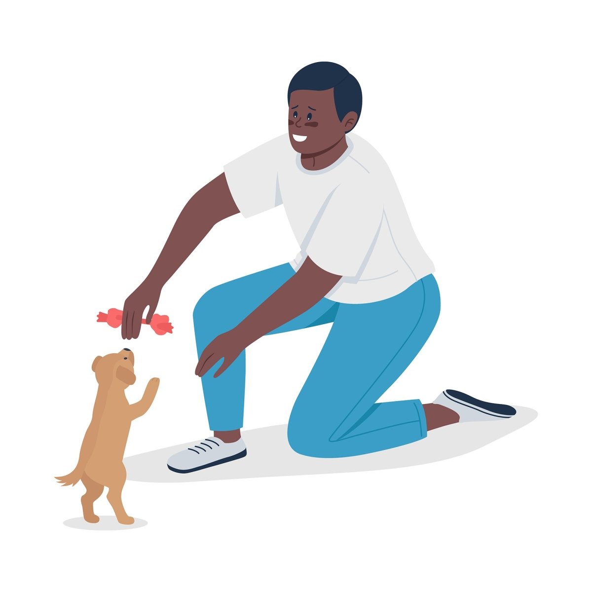 Owners playinh with pets semi flat color vector character set