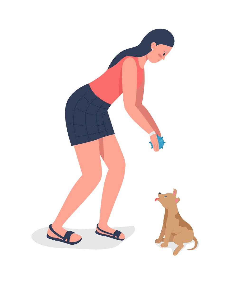 Owners playinh with pets semi flat color vector character set