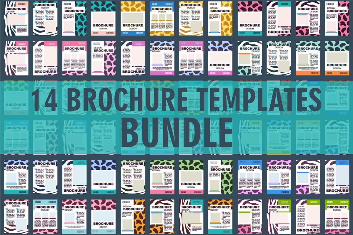 Safari animals blank brochure layout design