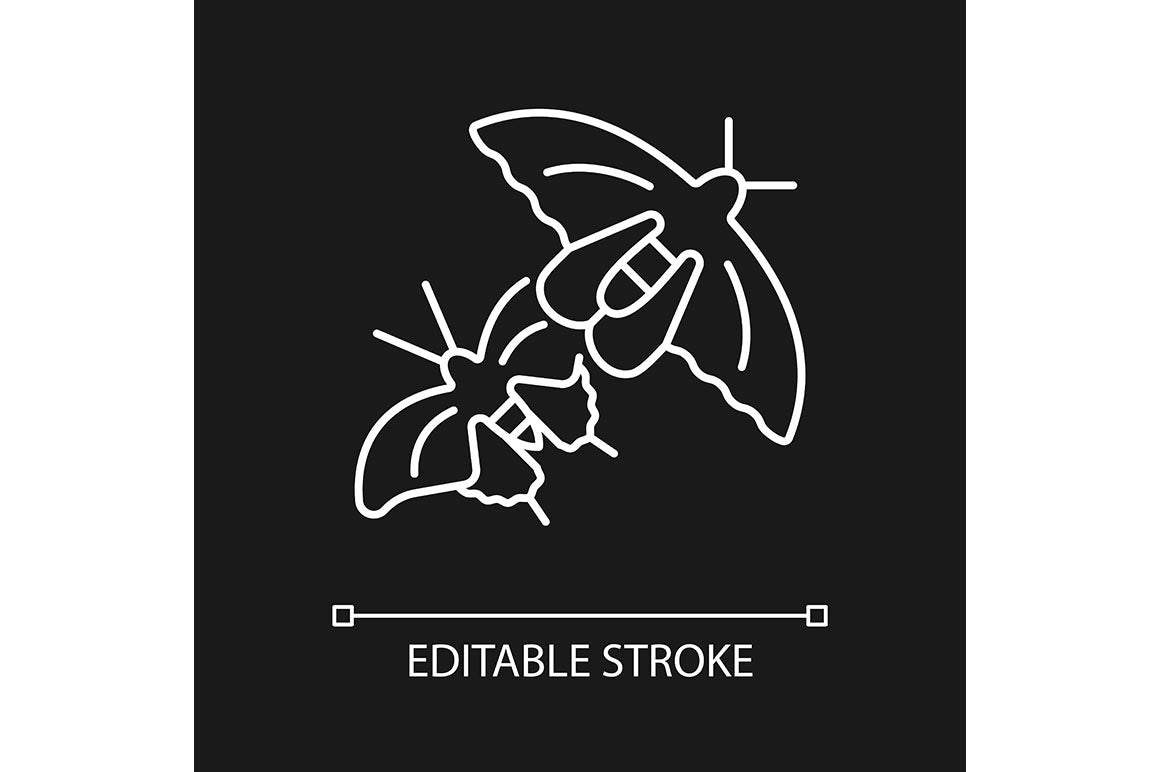 Singapore national symbols linear icons set for dark and light mode
