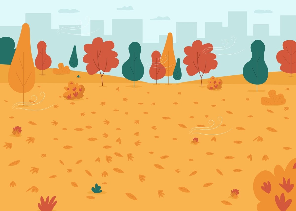 Space for sport flat color vector illustration bundle