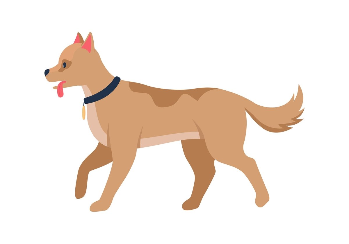 Various dog breeds flat color vector detailed character set