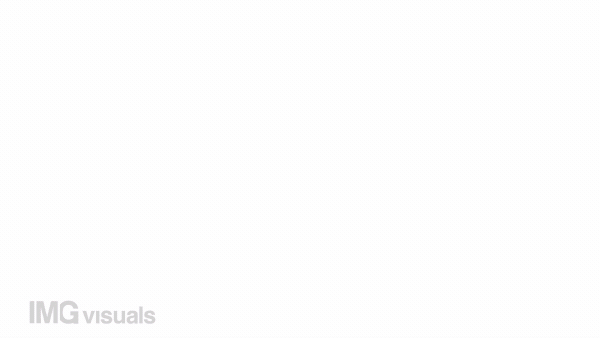 Animated unclear data color icon. Inaccurate reporting. Unreliable financial info. Seamless loop HD video with alpha channel on transparent background. Simple filled line motion graphic animation