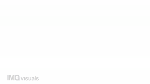Animated documents color icon. Sharing files on internet. Send by e-mail. Copy papers. Seamless loop HD video with alpha channel on transparent background. Simple filled line motion graphic animation
