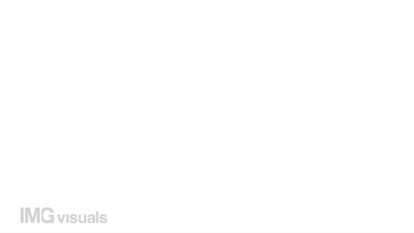 Animated fast growth color icon. Fast business progress. Financial development. Seamless loop HD video with alpha channel on transparent background. Simple filled line motion graphic animation