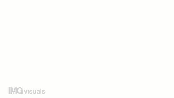 Animated statistic rise color icon. Business development. Financial progress. Seamless loop HD video with alpha channel on transparent background. Simple filled line motion graphic animation