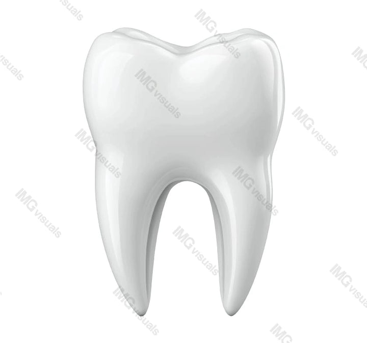 Single tooth molar with glossy surface transparent image, ai generated. Dental structure, oral wellness isolated cutout 3d render. Perfect smile. Dentistry model cut out clipart design element png