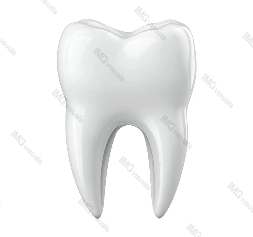 Single tooth molar with glossy surface transparent image, ai generated. Dental structure, oral wellness isolated cutout 3d render. Perfect smile. Dentistry model cut out clipart design element png