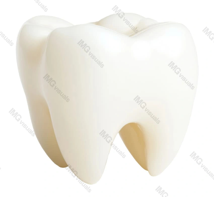 Realistic molar tooth with natural smooth texture transparent image, ai generated. Dental health, oral hygiene isolated cutout 3d render. Cosmetic dentistry model cut out clipart design element png