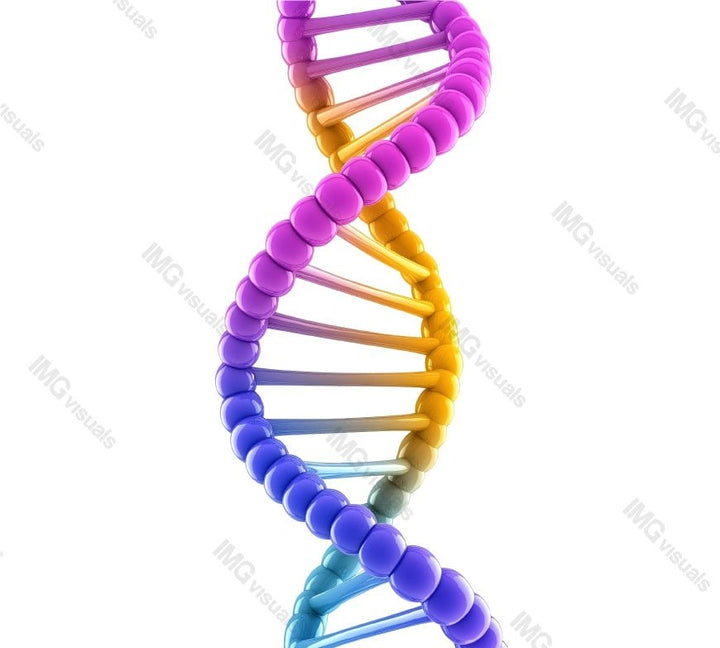Colorful DNA double helix structure transparent image, ai generated. Molecular genetics isolated cutout 3d render. Scientific visualization. Biotechnology research cut out clipart design element png
