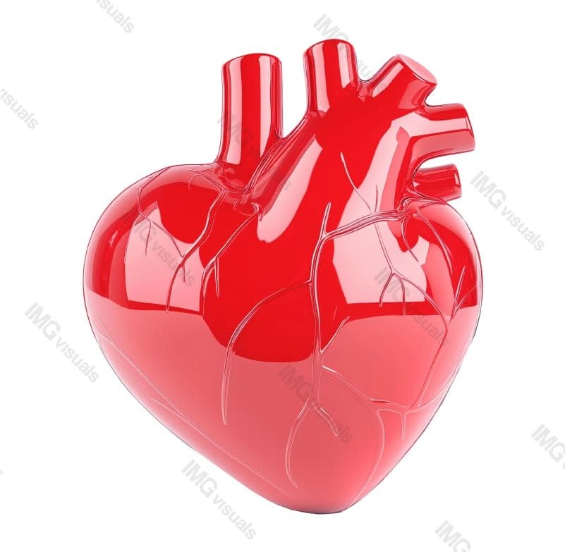 Glossy red anatomical heart model transparent image, ai generated. Veins and arteries human circulatory system isolated cutout 3d render. Medical cardiac anatomy cut out clipart design element png