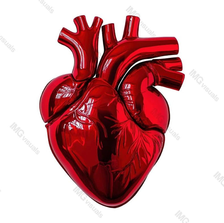Metallic red anatomical heart with vein details transparent image, ai generated. Artistic cardiac structure isolated cutout 3d render. Scientific visualization cut out clipart design element png