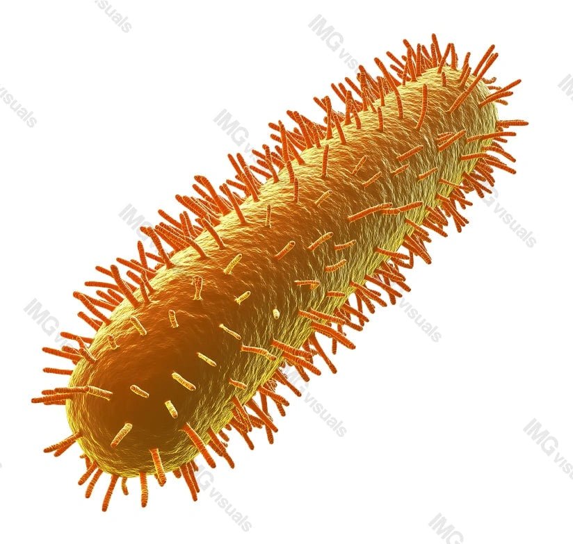 Microscopic view of rod-shaped virus transparent image, ai generated. Virology, infectious disease, microbiology isolated cutout 3d render. Viral structure cut out clipart design element png