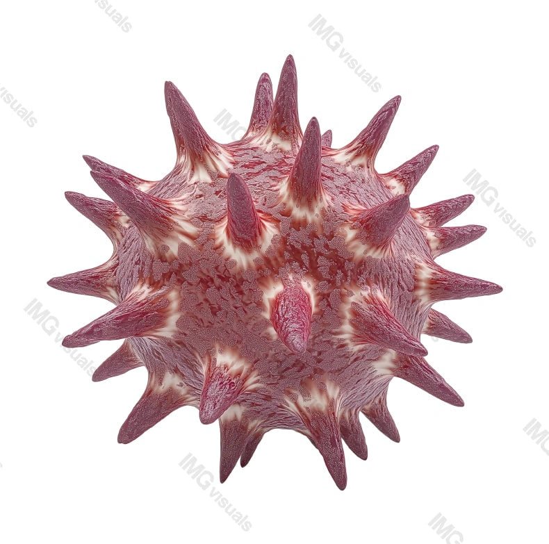 Realistic spiky virus pathogen viral mutation transparent image, ai generated. Contagious disease visualization isolated cutout 3d render. Medical research cut out clipart design element png