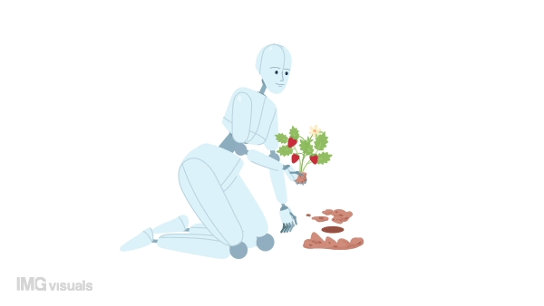 Animated robotics in horticulture. Agricultural robot planting strawberries. Flat character animation white background with alpha channel transparency. Color cartoon style 4K video footage