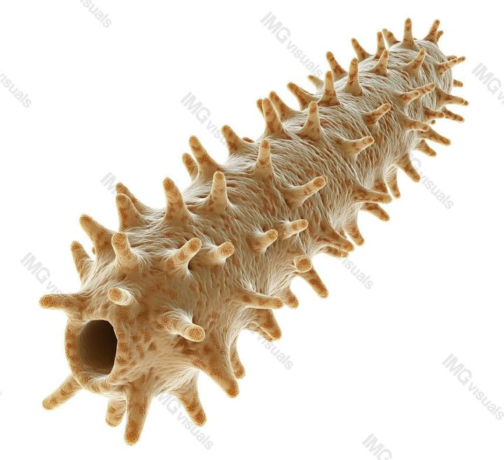 Rod-shaped bacterial pathogen transparent image, ai generated. Contagious microbe isolated cutout 3d render. Epidemiology medical structure. Microscopic bacteria cut out clipart design element png