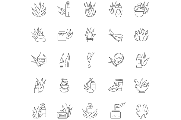 Aloe vera pixel perfect linear icons set. Natural cosmetic and dermatology. Medicinal herbs. Customizable thin line contour symbols.