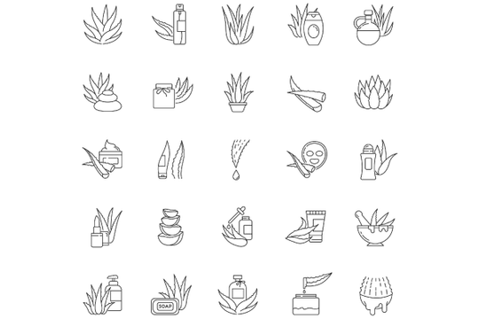 Aloe vera pixel perfect linear icons set. Natural cosmetic and dermatology. Medicinal herbs. Customizable thin line contour symbols.