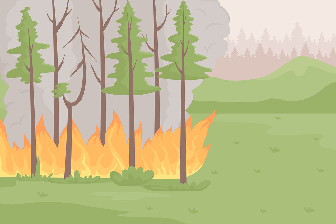 Environmental disasters flat color vector illustrations set